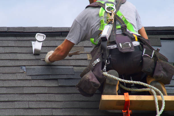 Best Roof Gutter Cleaning  in Eleanor, WV