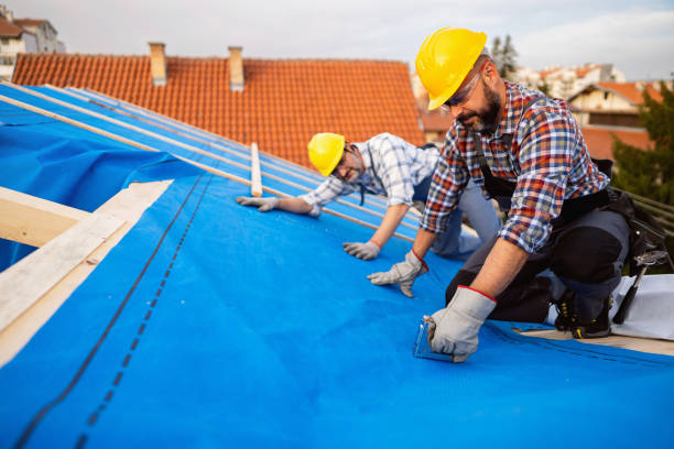 Best Residential Roofing Contractor  in Eleanor, WV