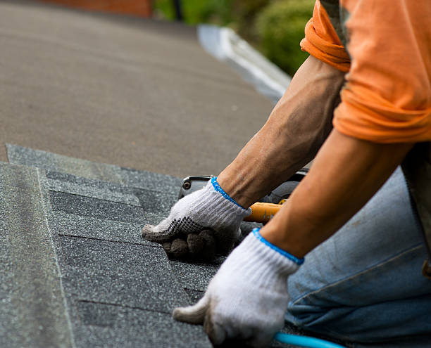 Best Emergency Roof Repair  in Eleanor, WV